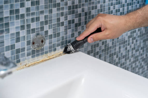 Best Mold Damage Repair  in Beechwood Village, KY